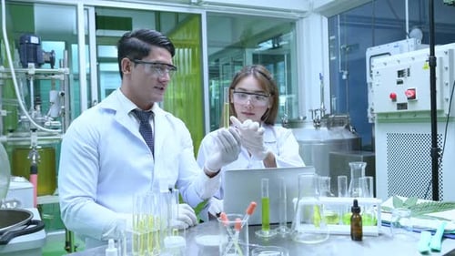Scientists and assistants are in the oil and cannabis seed extractor room.