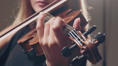 Close-up of Female Hands Playing on Violin. Musician with an Instrument