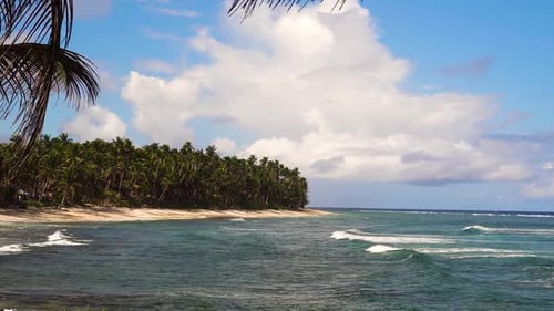 Beach on a Tropical Island