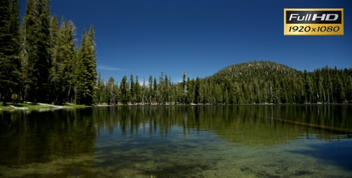 Meadow Lake (3-Pack)