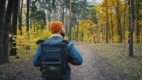 Rückansicht eines wandelnden Mannes mit Rucksack, der den Herbstwald im Nationalpark Zeitlupe erkundet