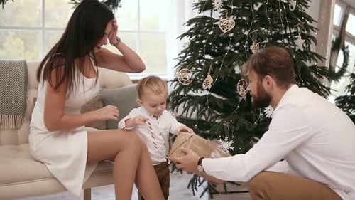 Family Together Giving Christmas Gift by Tree