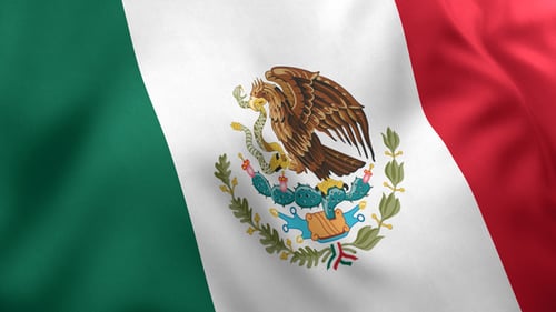 Mexico Flag / Mexican Flag