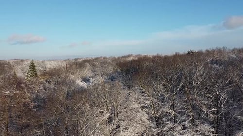 Aerial view of a drone flying over the winter forest.