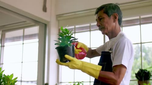 Adult Tending to Plants Indoors with Water Spray
