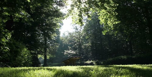 Parque Forest