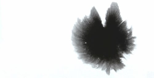 Abstract Black Ink Spreading on White Background