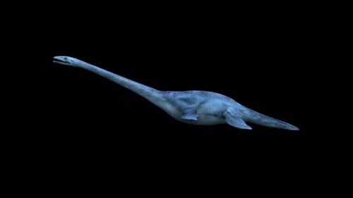 Elasmosaurus Dinosaurier 4K