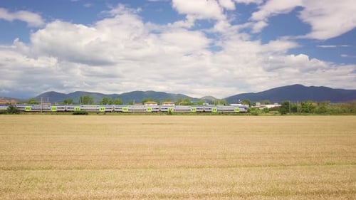 Train Over the Wheat Field