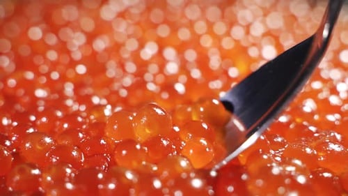 Close-Up of Red Caviar Being Scooped with Spoon