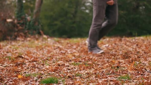 Autumn Leaves Covering Ground With Green Forest Backdrop