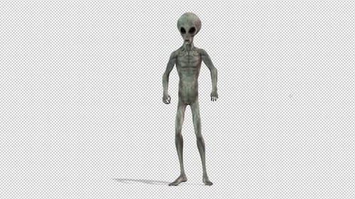 Grey Alien Creature Dances Animation with Transparent Background