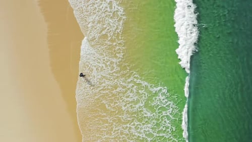 Aerial Footage of a Man Walking Into Turquoise Waters