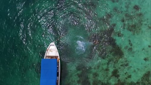 Woman Dives into Tropical Ocean from Small Boat