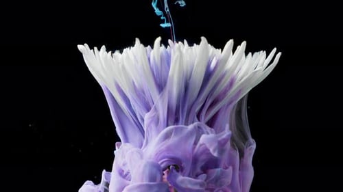 Colorful Ink Expanding Around White Flower, Abstract Beauty
