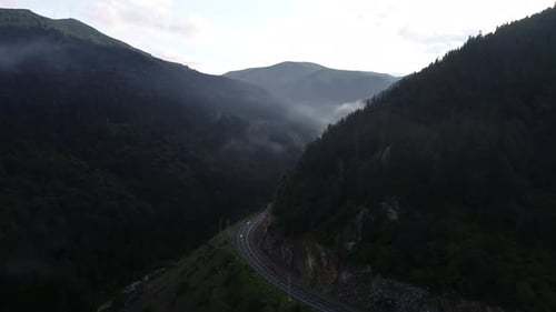 Mountain Forest Road