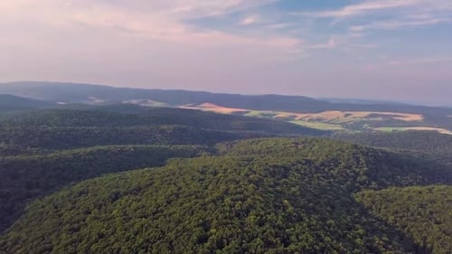 Aerial View of Forest Valley in Summer Evening Landscape