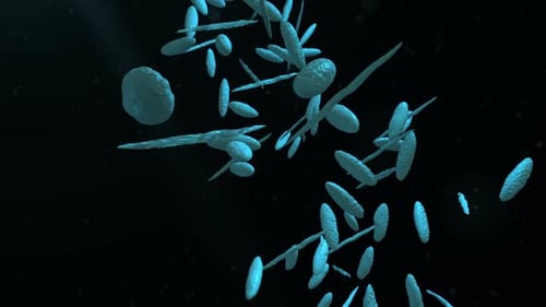 Molecular DNA Double Helix Forming and Rotating Animation