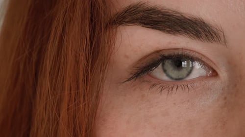 Eye. Portrait of lovely young red hair female student standing in library attractive student smiling