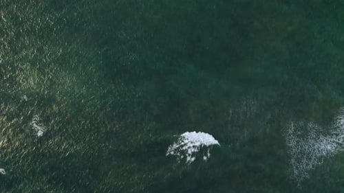 Tropical Sea Top View