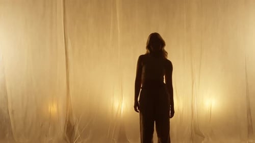 Silhouette of a Professional Dancer Performing in Studio in Soft Warm Lighting