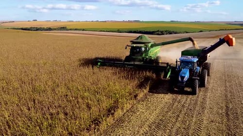 Combine Harvester and Tractor Harvesting Rural Field