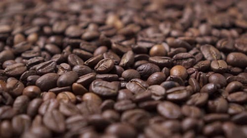 Dark Roasted Coffee Beans Move in a Circle.