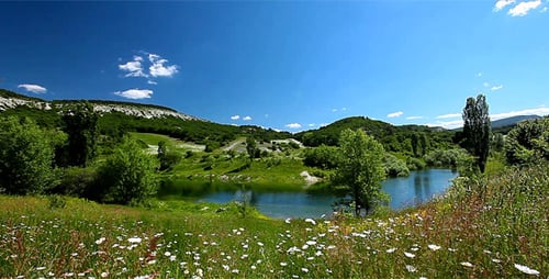 Sommer-Landschaft