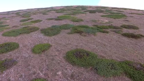 Top of The Treeless Round Curved Dome Shaped Hill