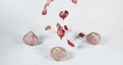 Garlic, allium savitum, Falling against White Background, Slow motion 4K