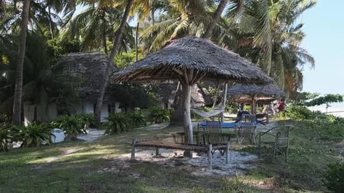 Tropical Beach Hotel with Thatched Roofs in Palm Groves By Ocean Zanzibar Paje