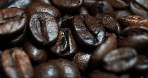 Close up of Roasted Coffee Beans