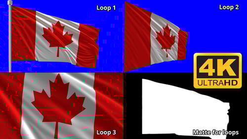 Realistic Canadian Flag Waving Animation with Chroma Key