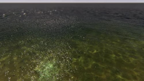 Flying On The Beach 02 4K