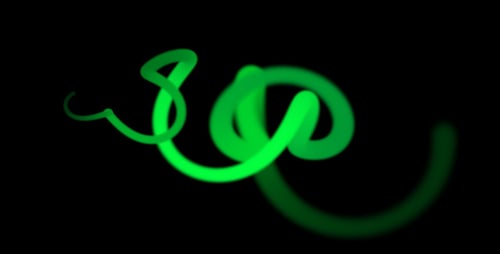 Digital Worm HD Loop