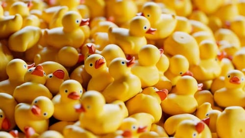 Animation du tas de canards en caoutchouc. Une énorme quantité de jolis jouets jaunes. Piles