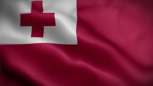 Tonga-Flagge texturierter, wehender Fronthintergrund