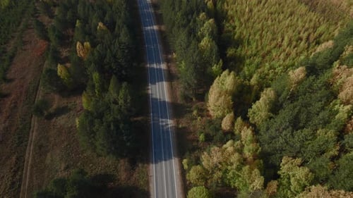 Road and moving cars between colorful autumn forest