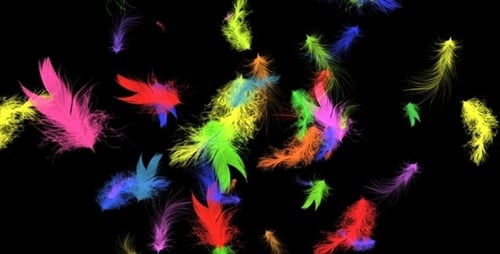 Rainbow Feathers - Full HD Loop