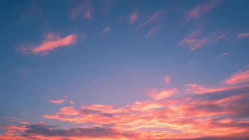 Majestic Pink Clouds Drift across Sky at Sunrise