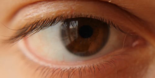 Braunes Auge