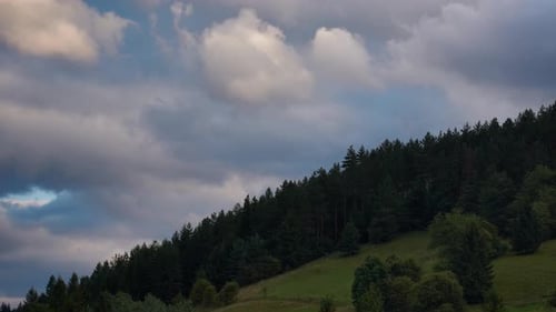 Schafe grasen unter dem Wald, dichte Wolken, 4K