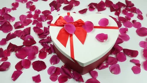 Heart Gift Box and Rose Petals Still Life