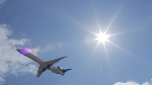 Airplane II