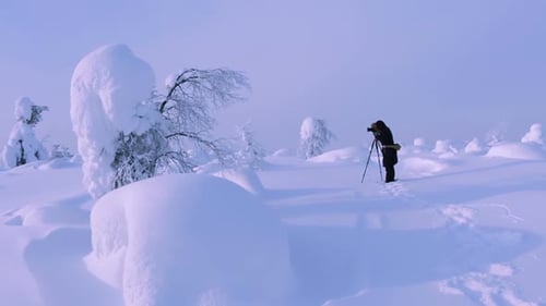 Snowy Winter Landscape with Trees on a Sunny Day