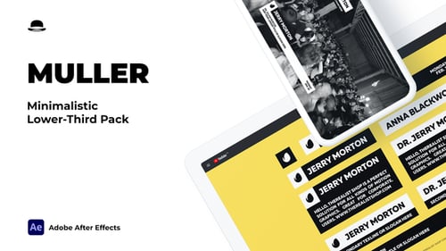 Clean Professional Lower Thirds for Video