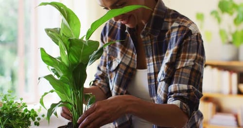 Woman Gardening Potted Plant Indoors with Smile