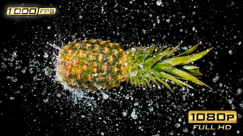 Fresh Pineapple Splashed with Water on Black Background