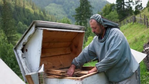 Beekeeper Inspecting Honeycomb Frame in Rural Setting