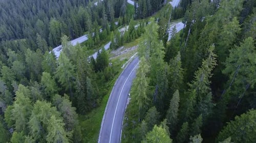 Winding Road in Green Coniferous Forest